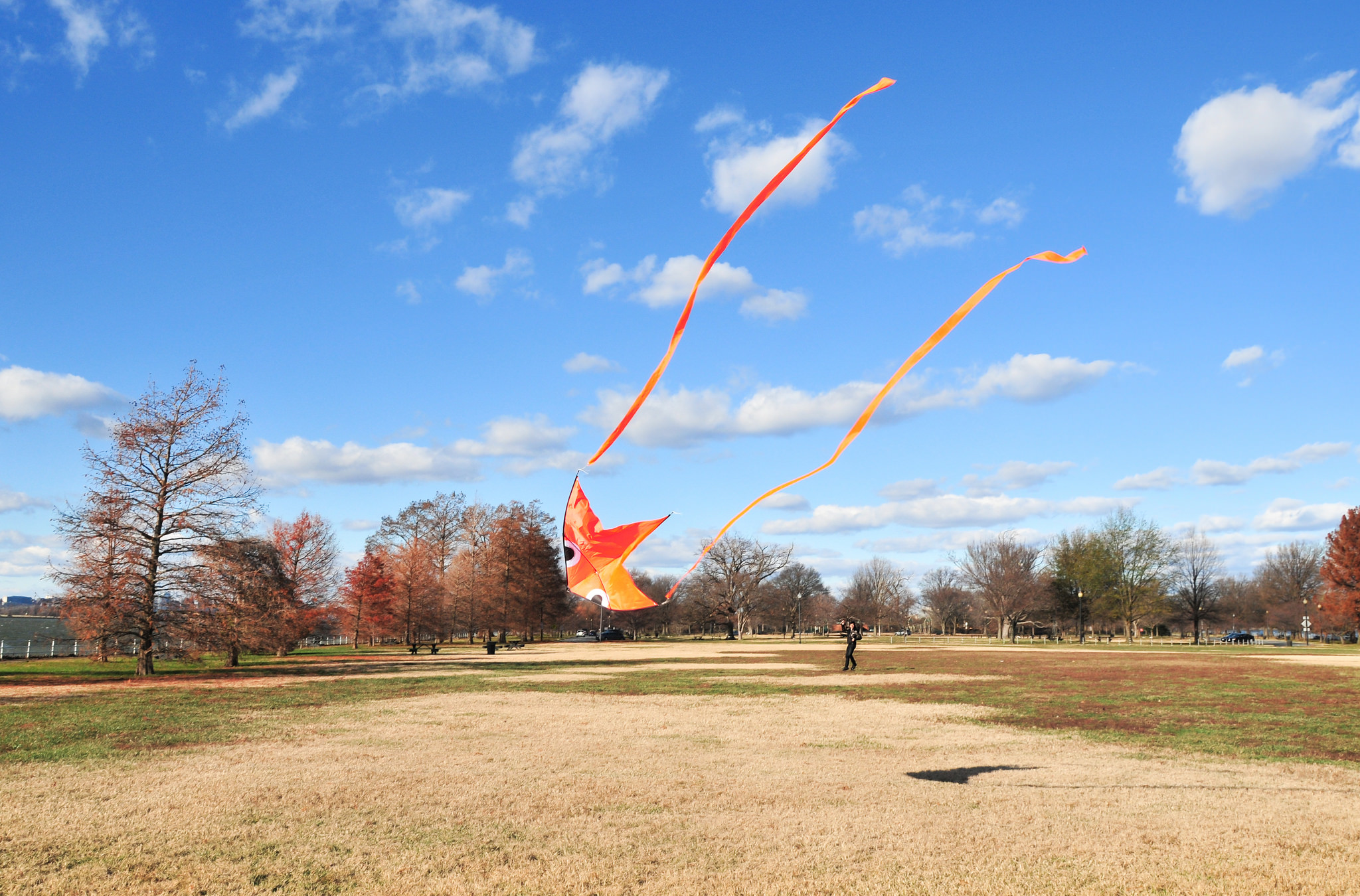 Christmas Day Kite by John Leszczynski
