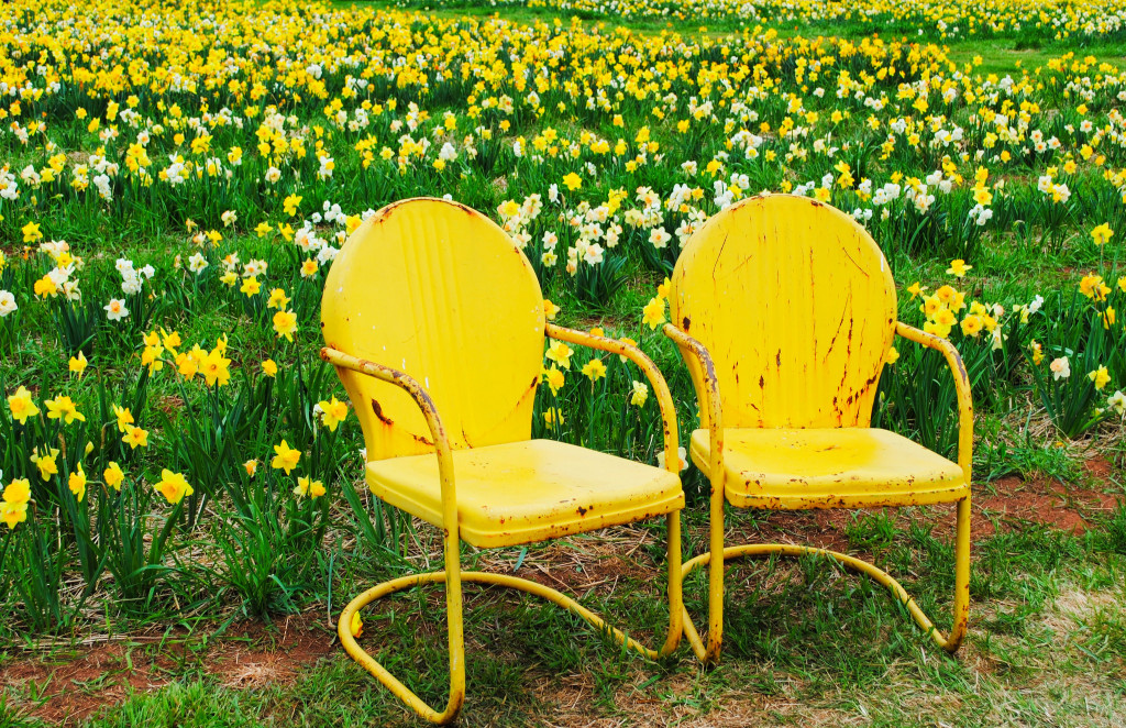 yellow chairs by Erin Kelly
