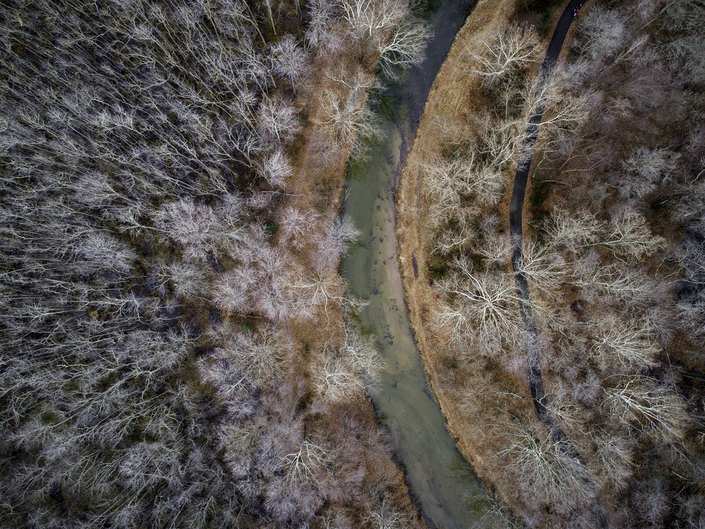 A River Runs Through by Larry Greene