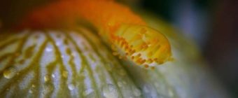 Featured Instagrammers: April 27, 2017